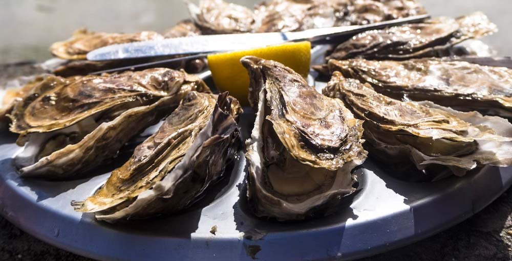 Zinc as Oysters